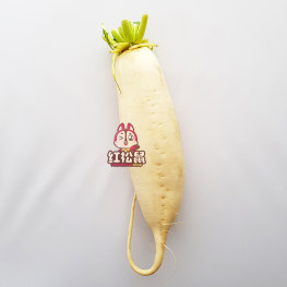 新鲜蔬菜-白萝卜整颗 太长就切段