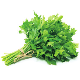 新鲜蔬菜-香菜一捆