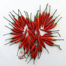 新鲜蔬菜 小米椒 红朝天椒 小米椒 100g
