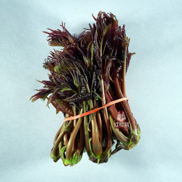 新鲜蔬菜 空运新鲜香椿芽1捆 90g