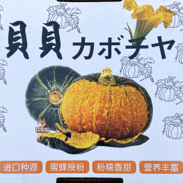 新鲜蔬菜 绿小贝 小贝贝南瓜 甜糯 250-400g