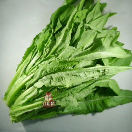 新鲜蔬菜-假油麦菜2把 我们判断是莴苣叶 但是口感极度接近油麦菜 约300g