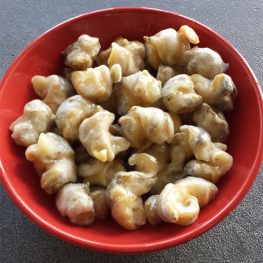 冷冻响螺肉20-40 切片可炖可汤可火锅嗷嗷香 800g