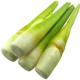 新鲜蔬菜 空运 茭白笋 370g