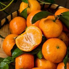 新鲜水果 带叶中号橘子3颗 约 300-400g 不承诺每颗橘子叶子还在