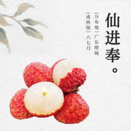 新鲜水果 空运仙进奉荔枝 广东增城城市之光 450g