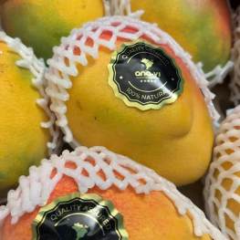 新鲜水果 巴西空运 Ana Vi 芒果 优级 1颗