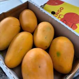 新鲜水果 多米尼加共和国 蜜芒果 黄芒果 1颗